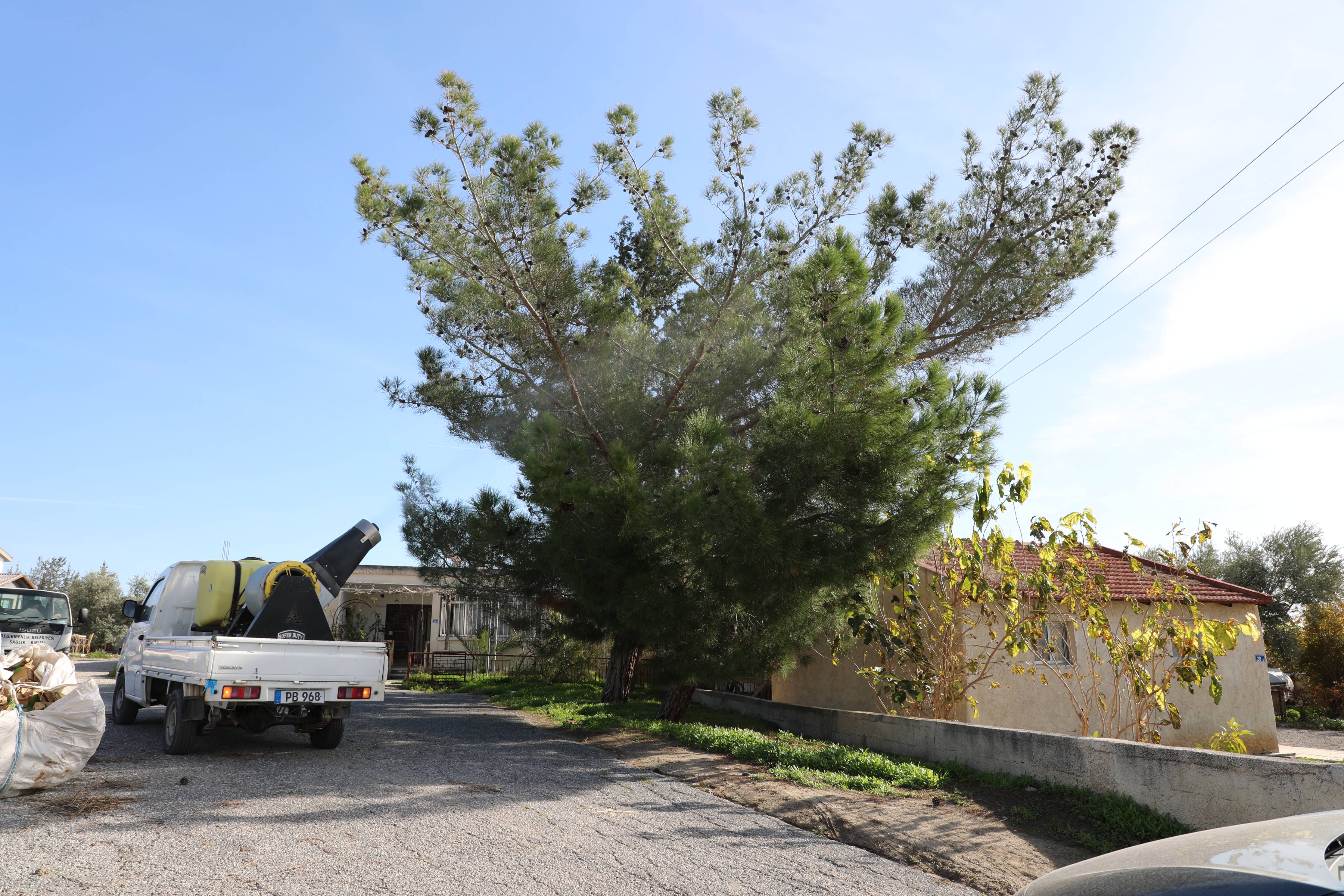 Değirmenlik Akıncılar Belediyesi, çam kese böceğine karşı ilaçlama çalışmasına başlıyor