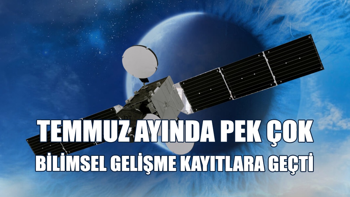 Amazon'da Yeni Kurbağa Türü Keşfi