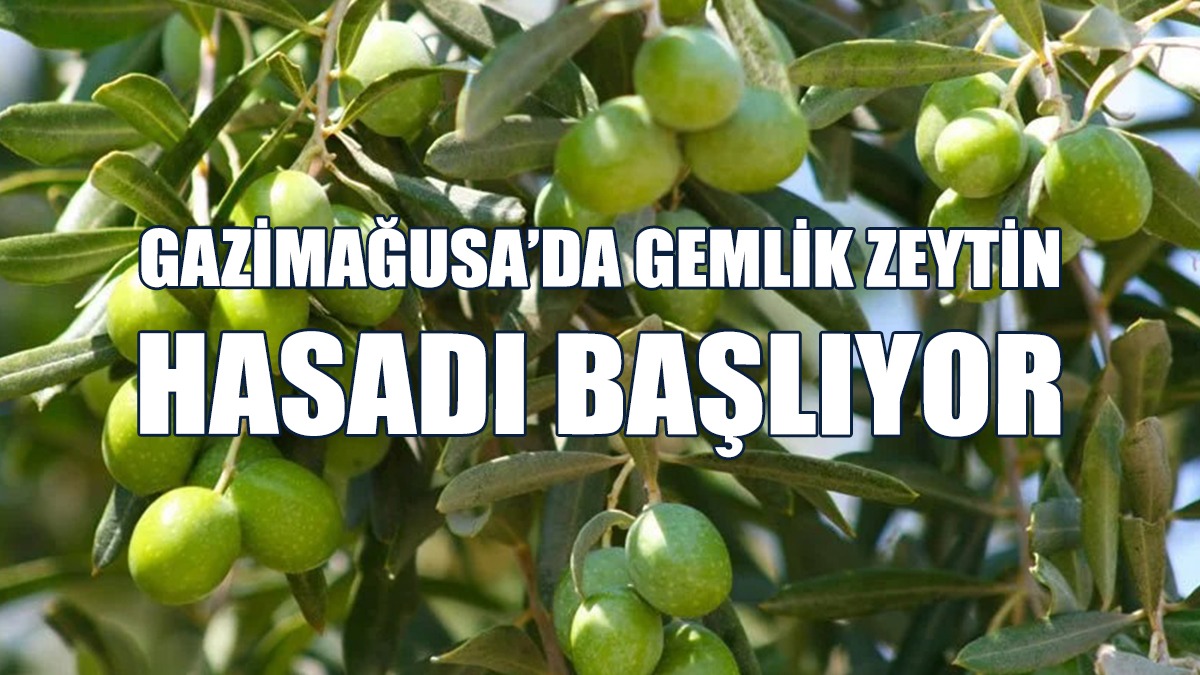 Hasat, 16 Eylül’de Başlayacak