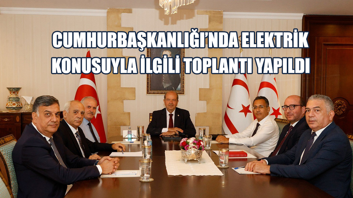 Cumhurbaşkanlığı’nda Elektrik Konusuyla İlgili Toplantı Yapıldı