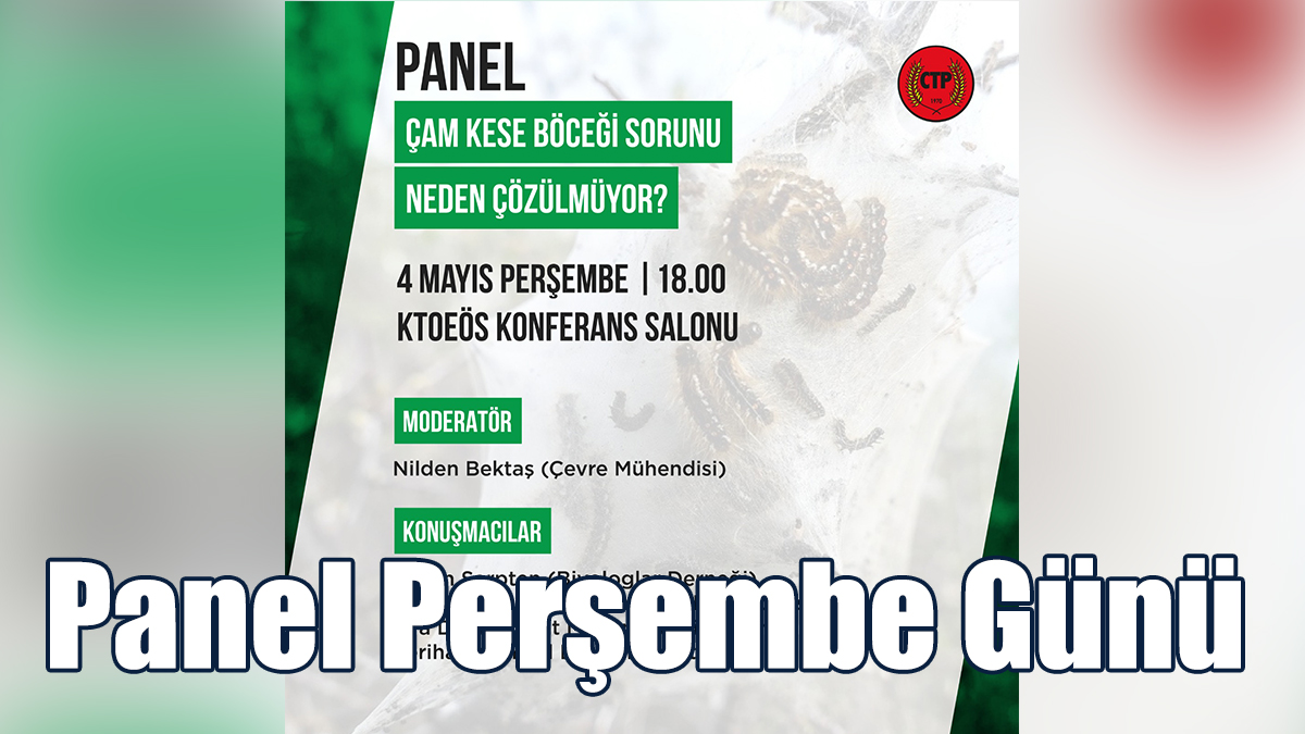 “Çam Kese Böceği Sorunu Neden Çözülmüyor?”