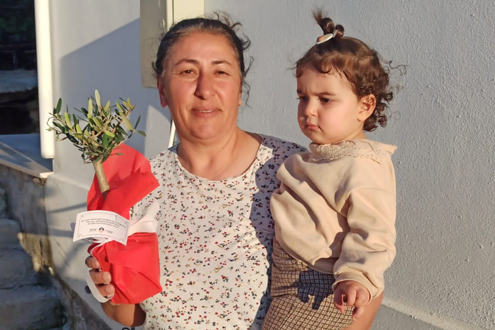 İskele Belediyesi, annelere, saksıda zeytin ağacı armağan ediyor
