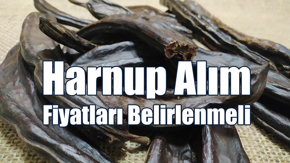 Harnup Alım Fiyatları Belirlenmeli