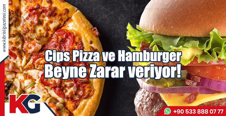 Cips, Pizza ve Hamburger Beyne Zarar Veriyor!