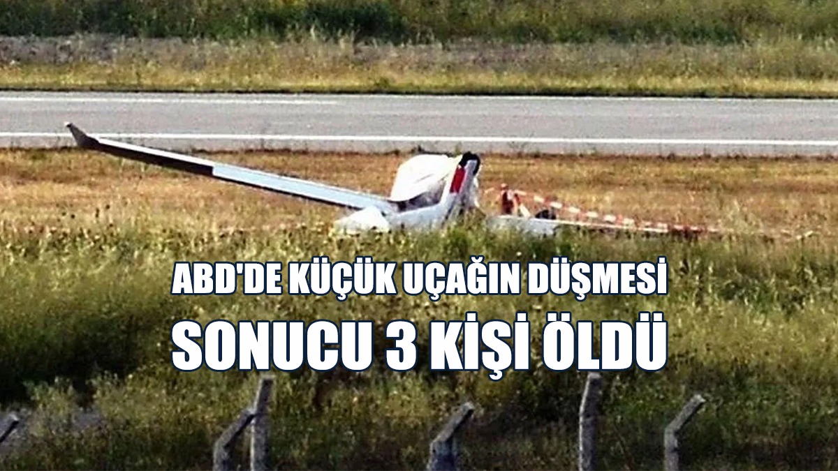 ABD'de Küçük Uçağın Düşmesi  Sonucu 3 Kişi Öldü