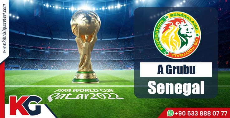 2022 FIFA Dünya Kupası'nda A Grubu: Senegal