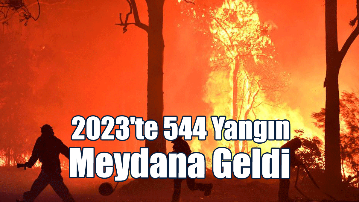 Yangınlar 89 Milyon 483 Bin 200 Tl'lik Zarara Yol Açtı