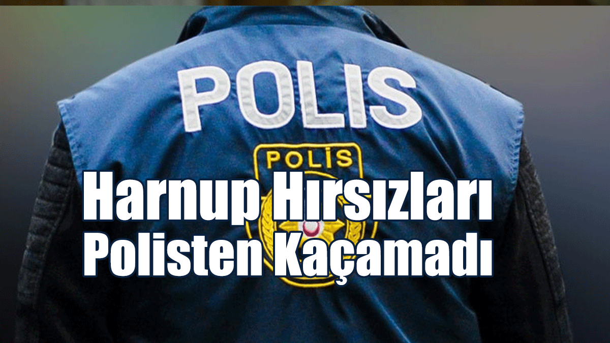 220 Kilogram Ağırlığındaki Harnup Emare Alındı