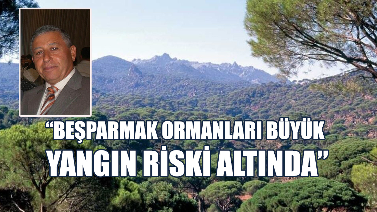 İlseven, Orman Dairesi’ndeki Eksikliklere Dikkat Çekti
