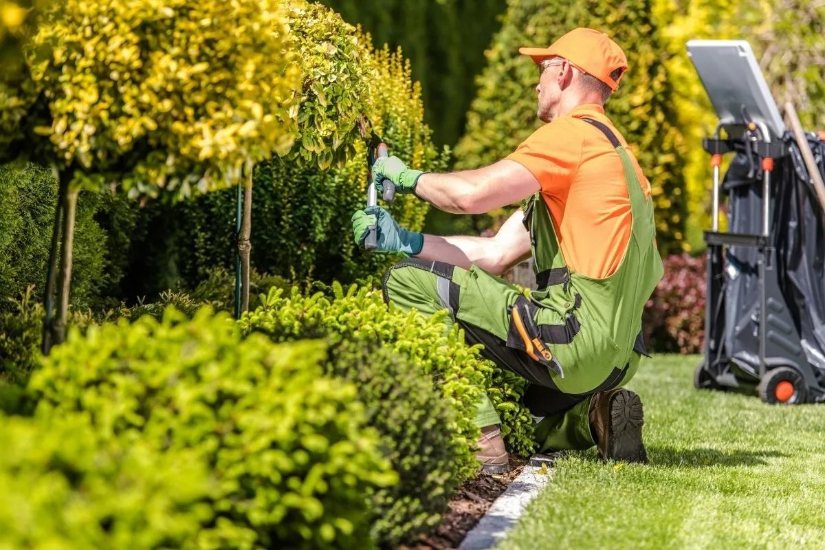 Peyzaj tasarımı iklim değişikliğine nasıl yanıt vermeli?