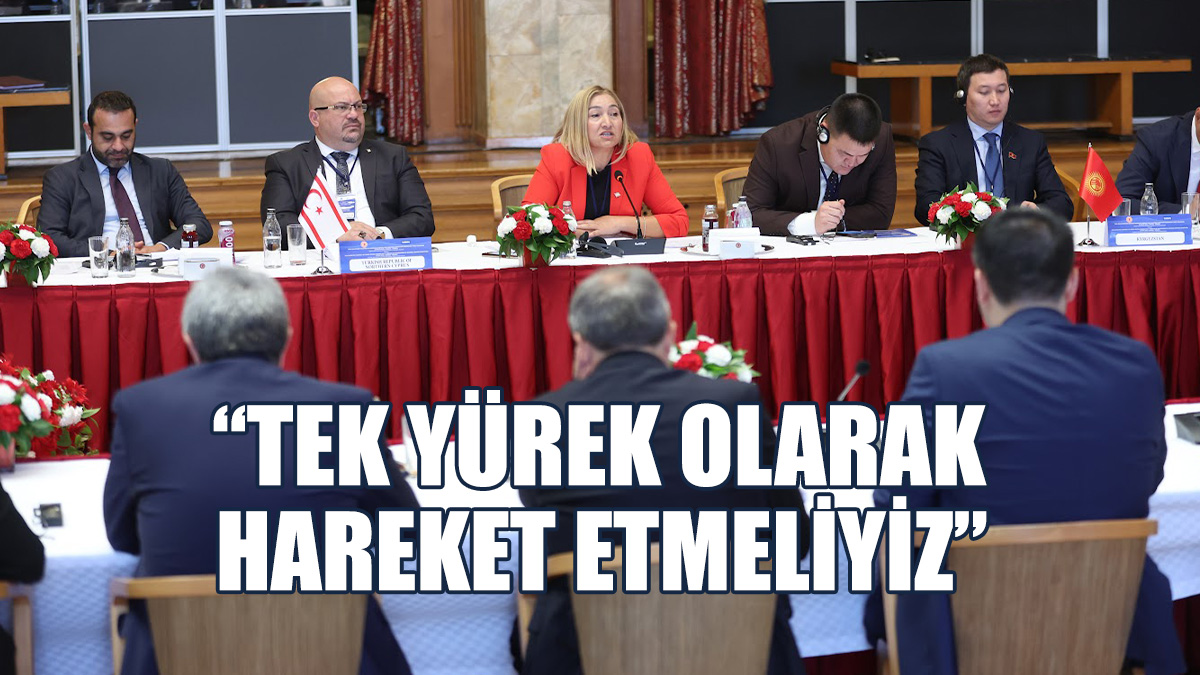 Öztürk: Kıbrıs Türkler Hep Cezalandırılan Taraf Oldu