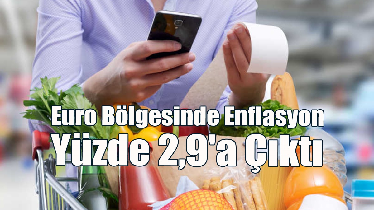 Euro Bölgesinde Enflasyon Yüzde 2,9'a Çıktı