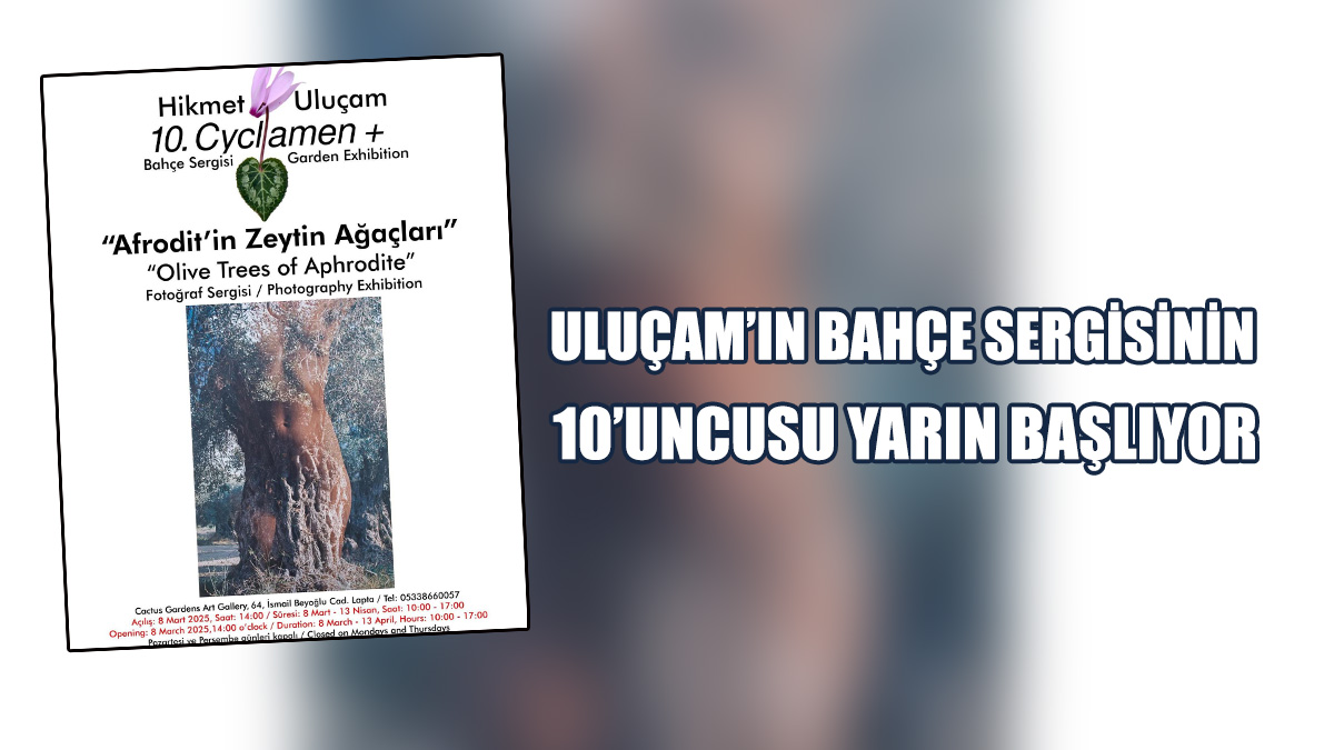 “Afrodit’in Zeytin Ağaçları” Fotoğraf Sergisi Açılıyor
