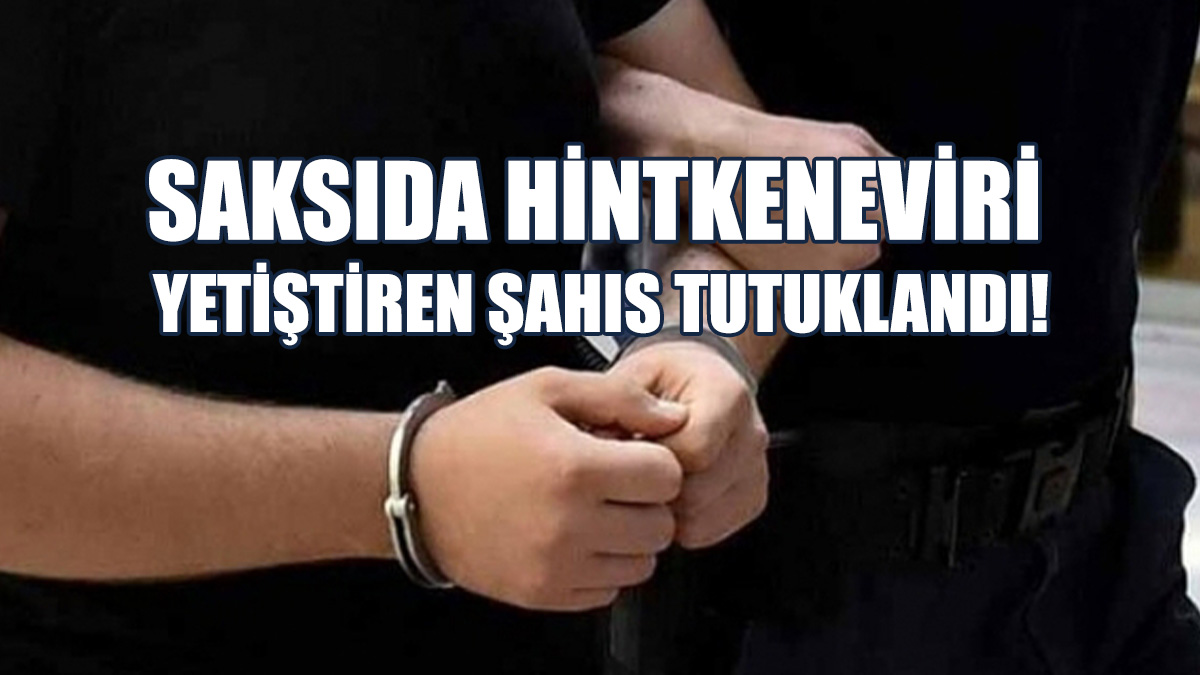 Boğaztepe'de Uyuşturucu