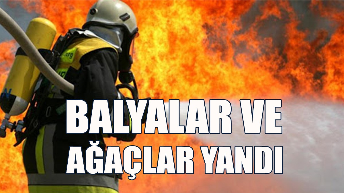 Mutluyaka-Mormenekşe Köyleri Arasında Yangın