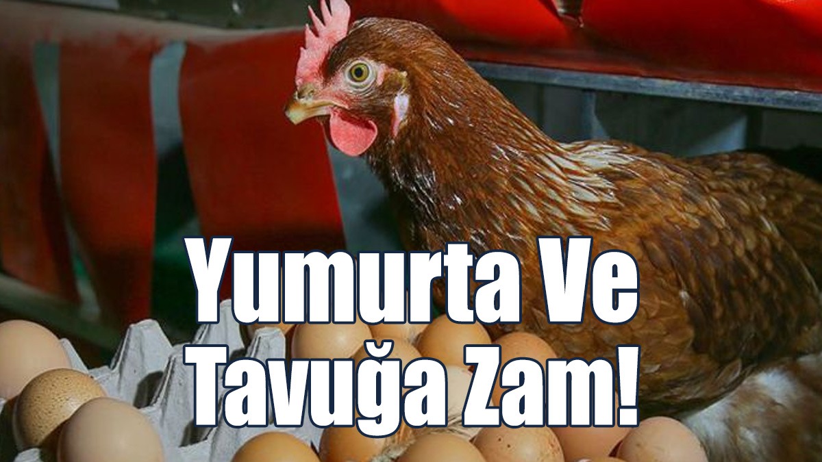 Yumurta Ve Tavuğa Zam!