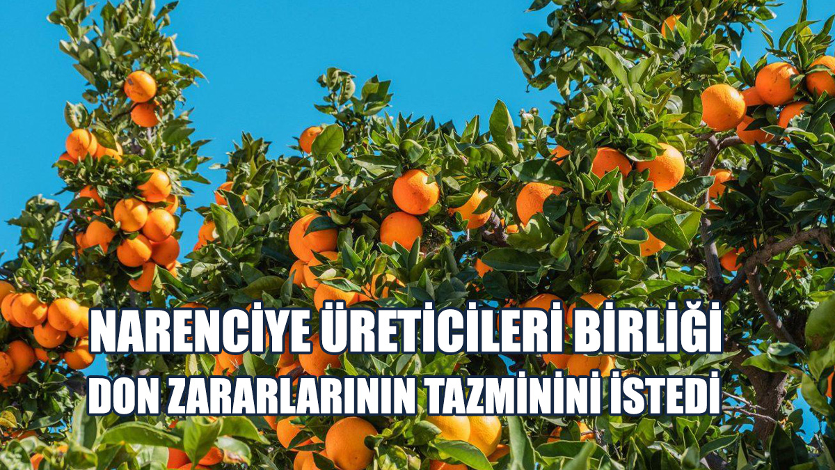 “Üreticilere Destek Verilip Üretimde Devam Sağlanmalı”