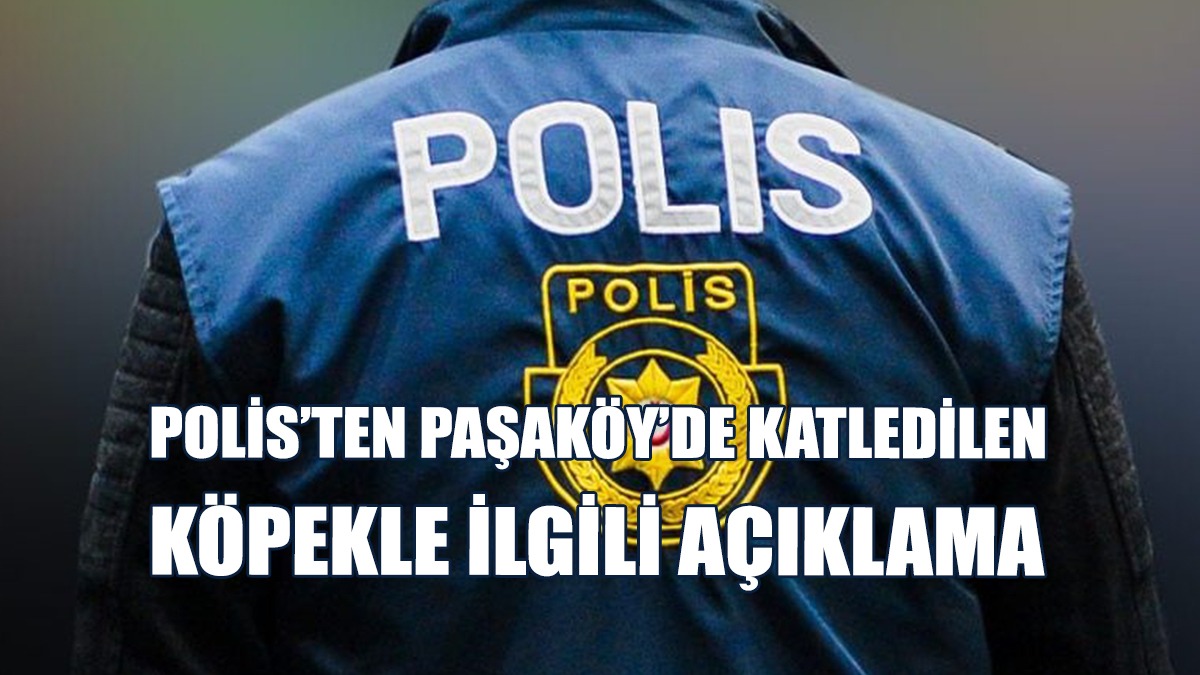 Polis’ten Paşaköy’de Katledilen Köpekle İlgili Açıklama