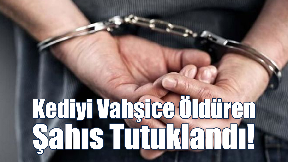Kediyi Vahşice Öldüren Şahıs Tutuklandı!