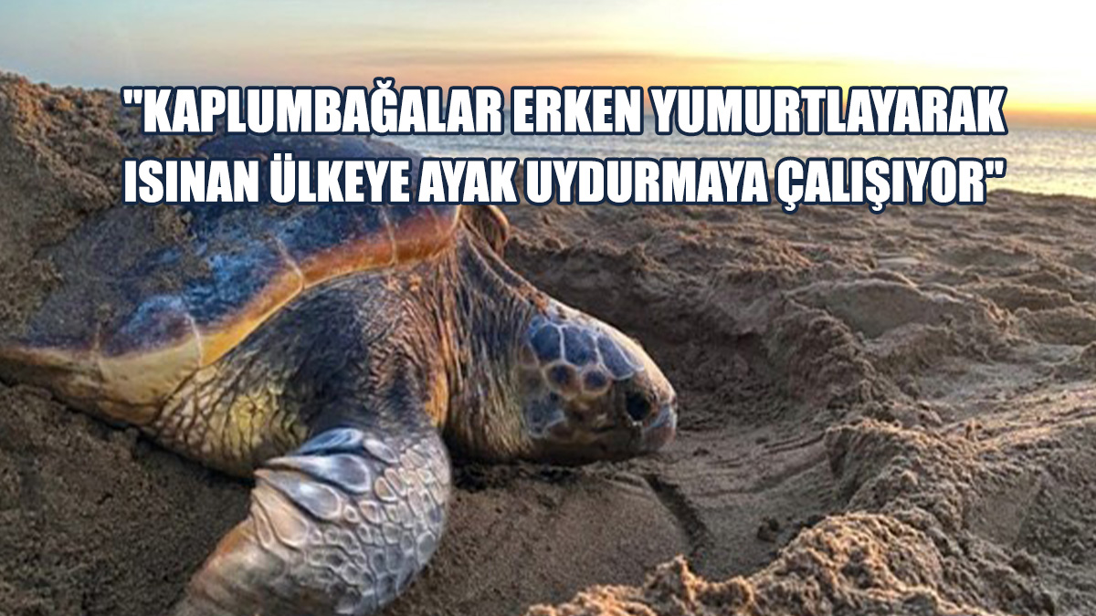 "Onları Tehdit Eden Pek Çok Unsur Var"