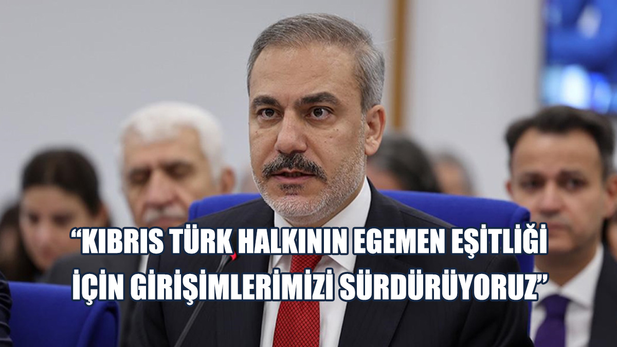 Fidan: Rapor, Ortak Zemin Bulunmadığını Ortaya Koydu