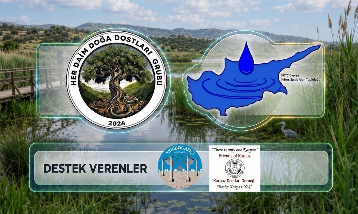 Silver Beach Sulak Alanı’nda temizlik etkinliği düzenlenecek