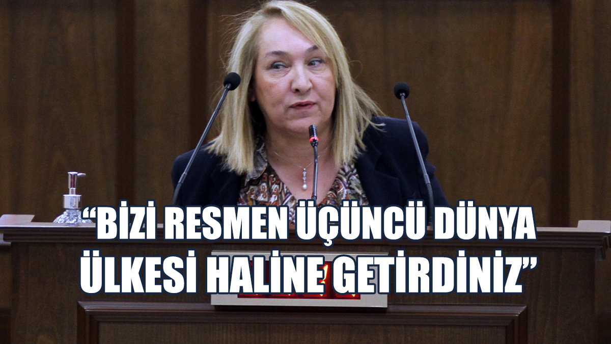 Besim, Planlamaların Nüfus Bilinmeden Nasıl Yapılacağını Sordu
