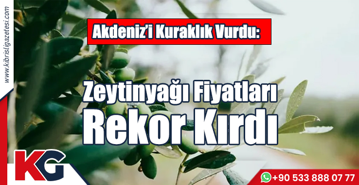 Zeytinyağı Fiyatları Rekor Kırdı