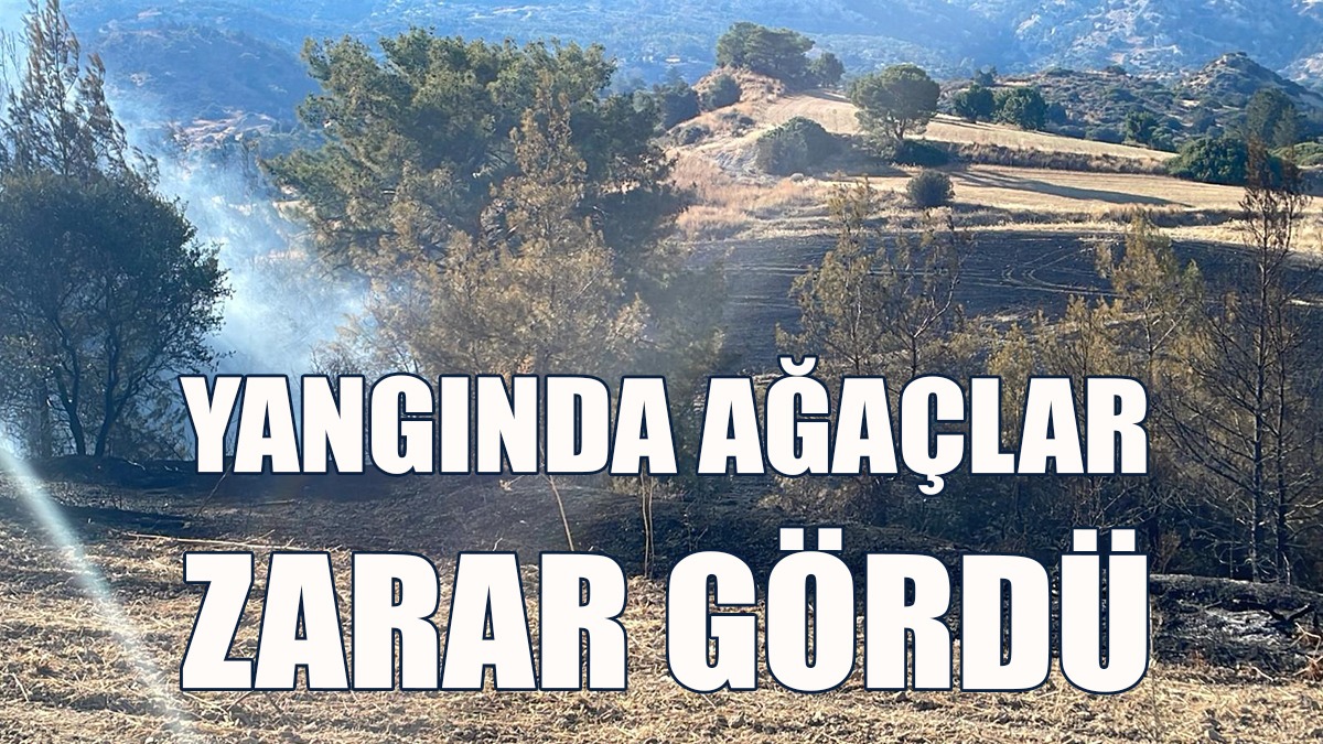 Vadili’de Yangın...