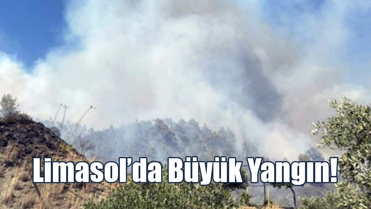 Limasol’da Büyük Yangın!