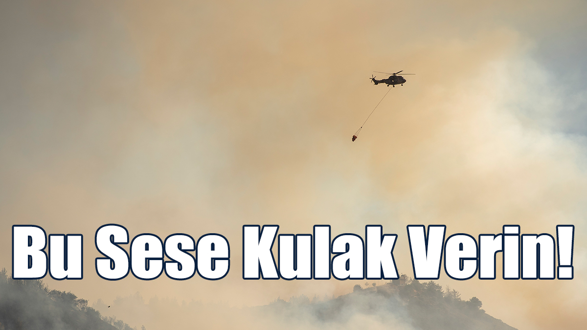 Orman Yangınlarına Karşı İvedi ve Etkin Tedbir Alınması Çağrısı