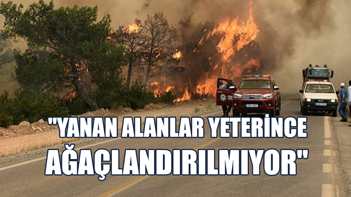 OMO: Yanan Fidan Miktarından Daha Fazla Dikim Yapılmalıdır