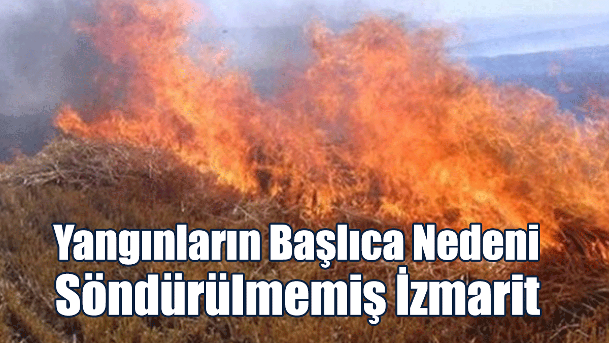 Yangınların Nedeni, Söndürülmeden Atılan Sigara İzmariti