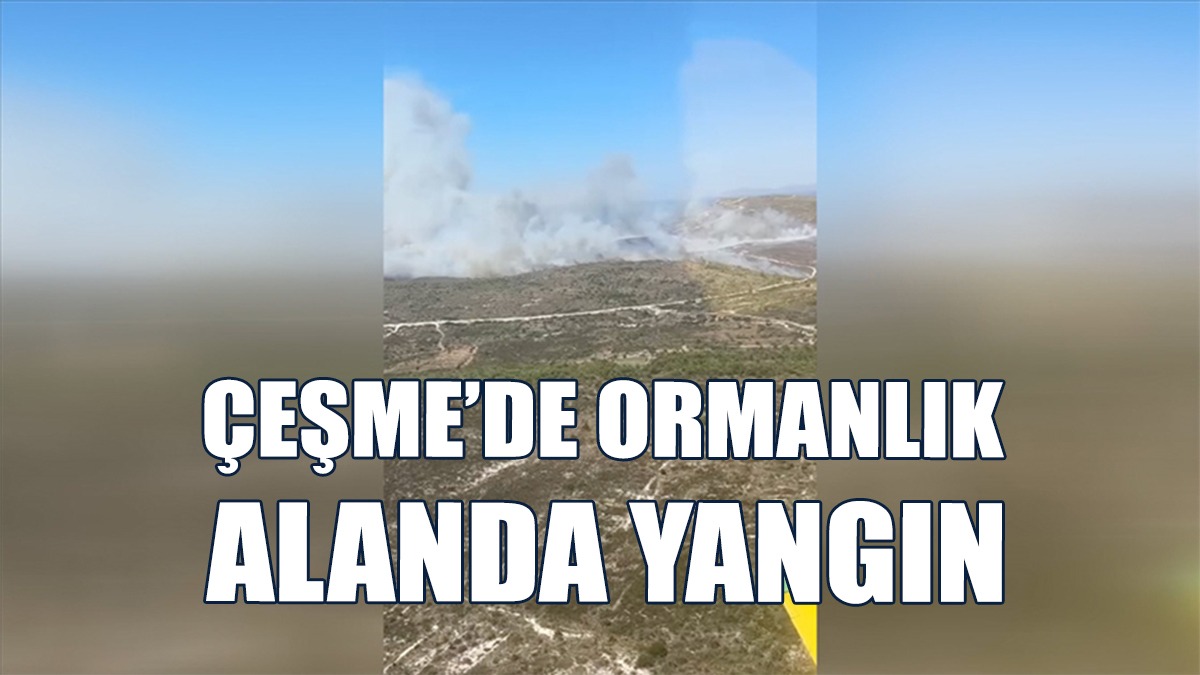 Ormanlık Alanda Çıkan Yangına Müdahale Ediliyor