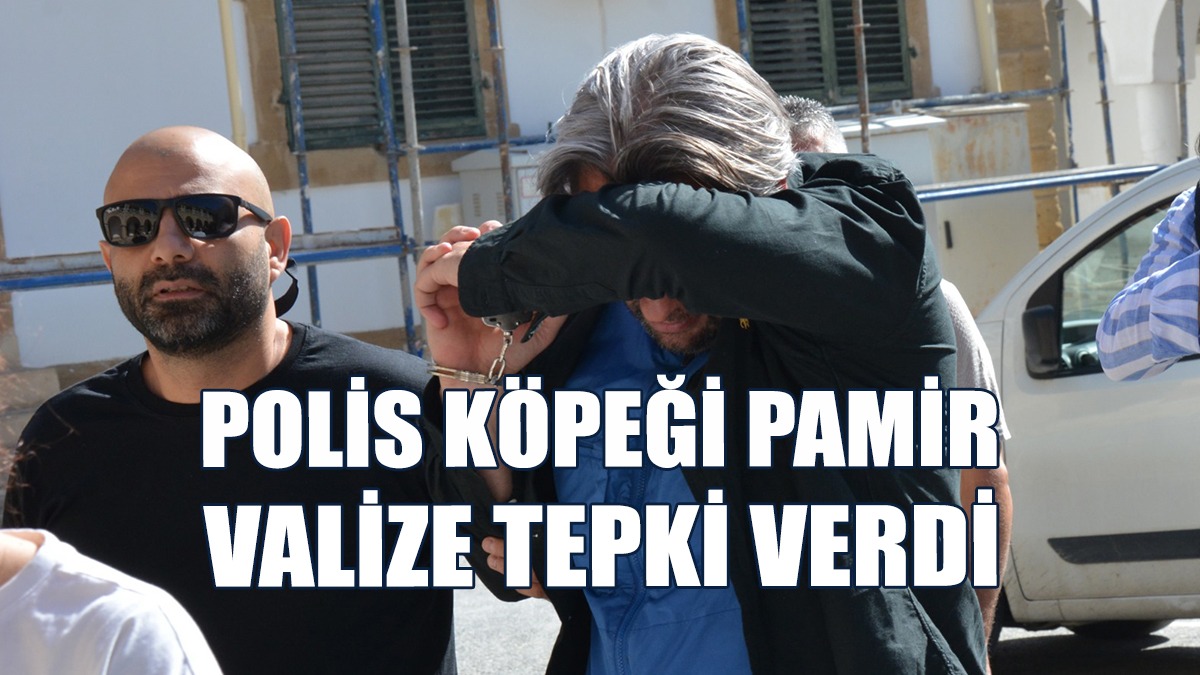 Valizinde Uyuşturucu Bulunan Şahıs Mahkemeye Çıkarıldı