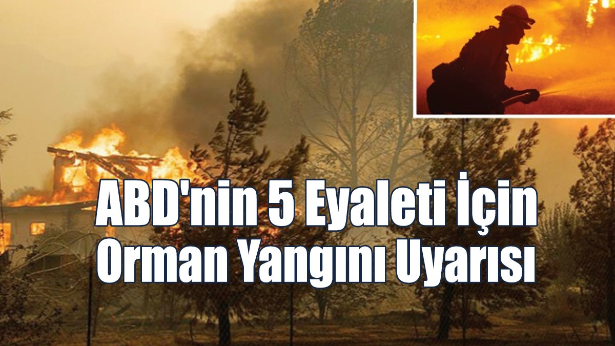 ABD'nin 5 Eyaleti İçin Orman Yangını Uyarısı