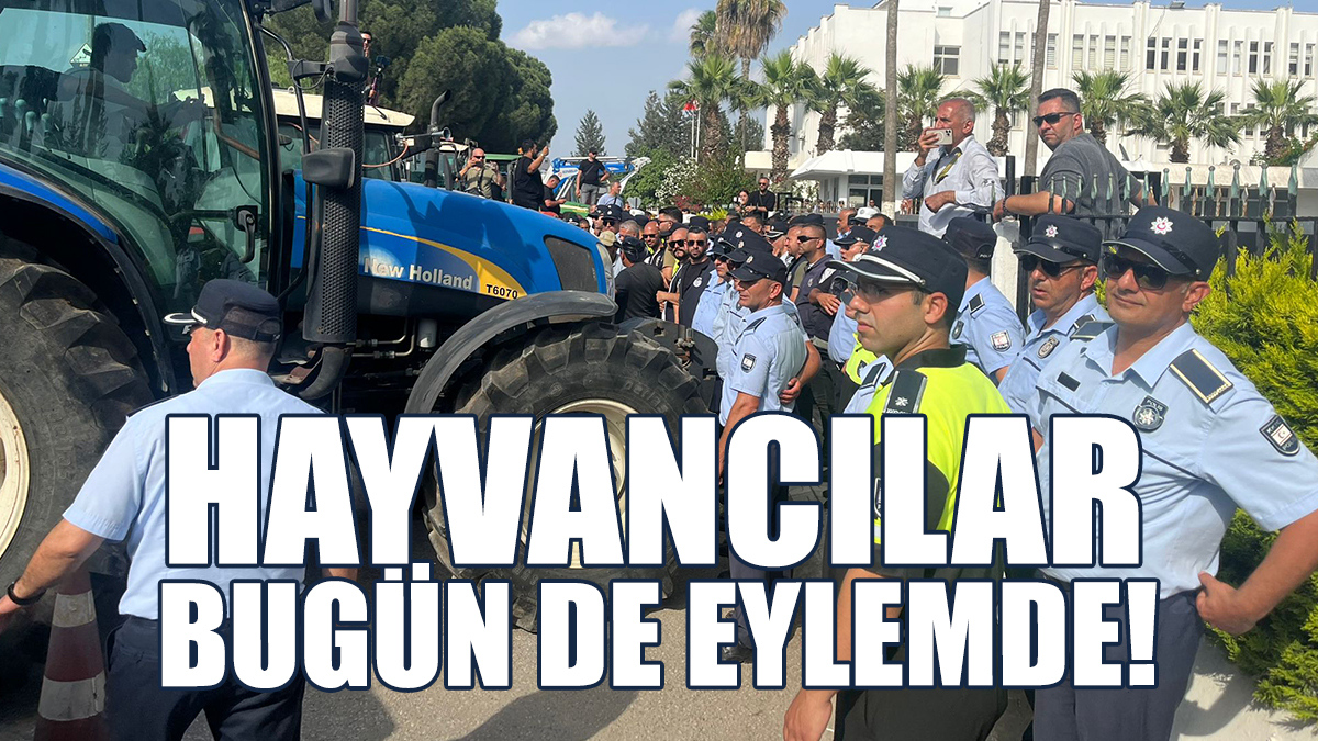Hayvancılar Bugün De Eylemde!
