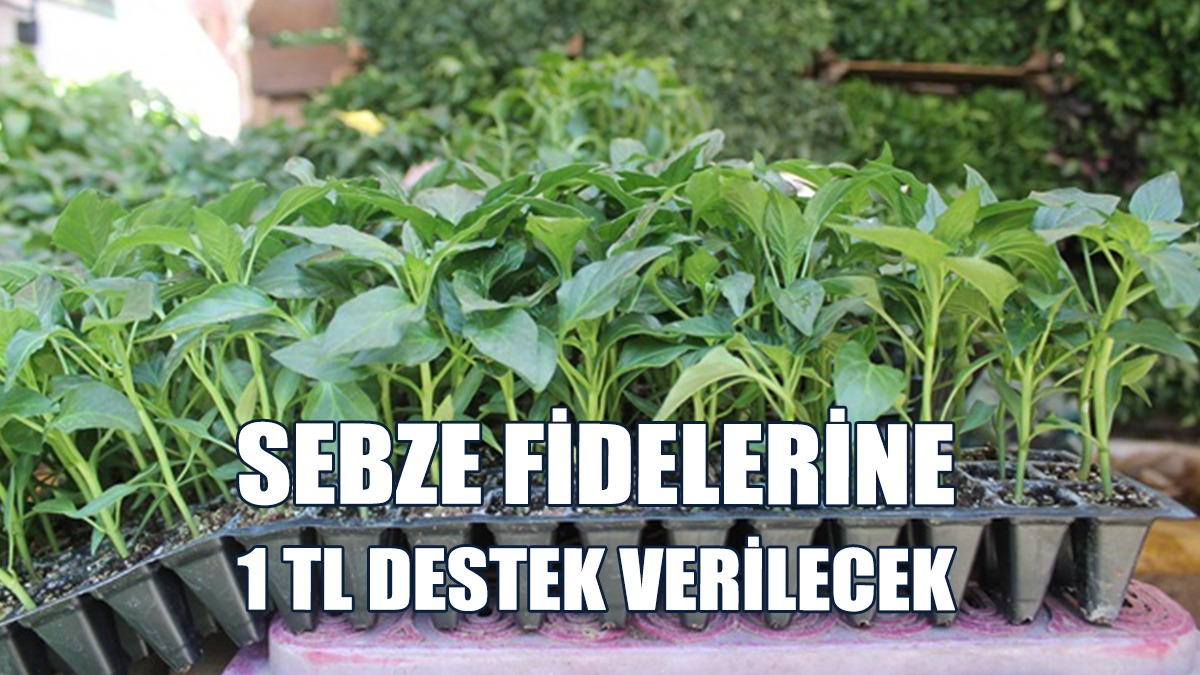 Sebze Üretimine Teşvik...