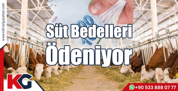 Süt Bedelleri Ödeniyor