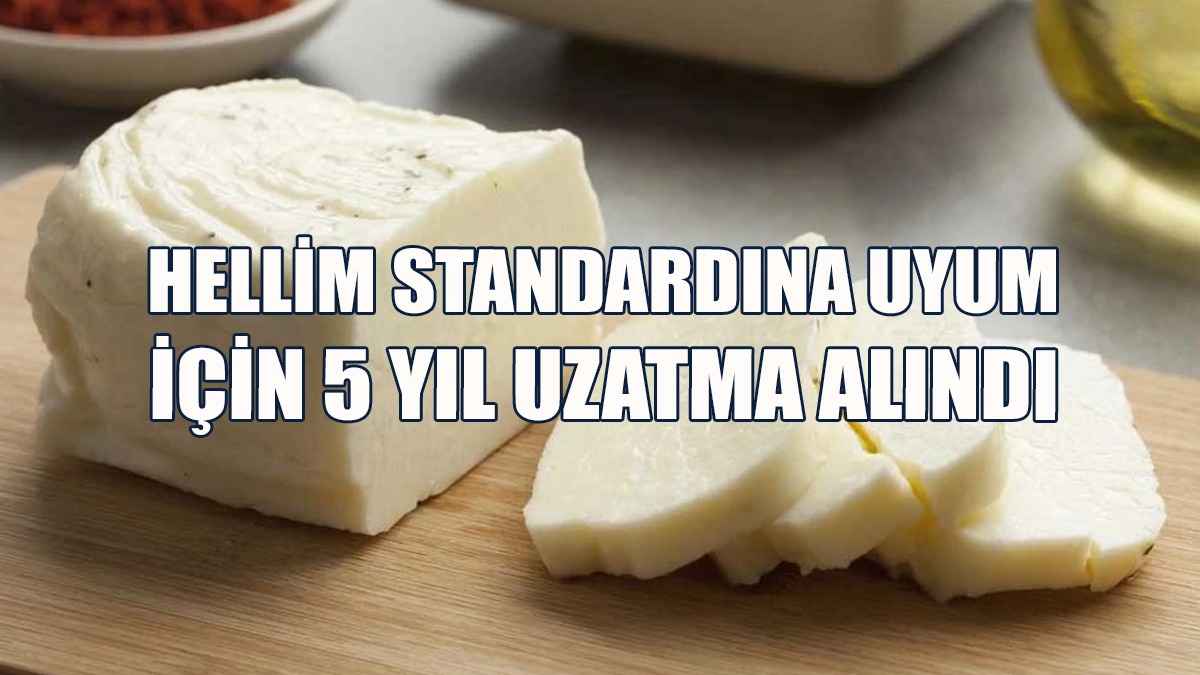 Uyum İçin Avrupa Konseyi’nden 5 Yıl Uzatma Alındı