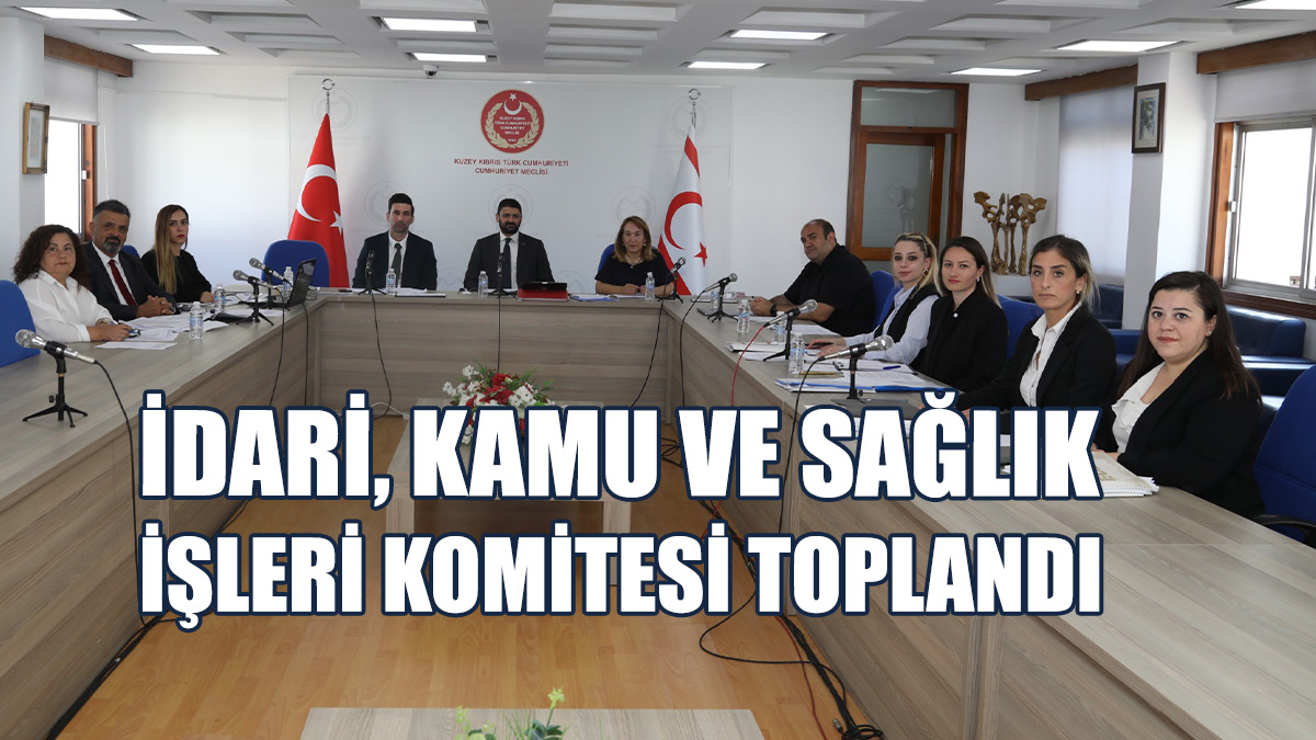 Komite 3 Tasarıyı Ele Aldı