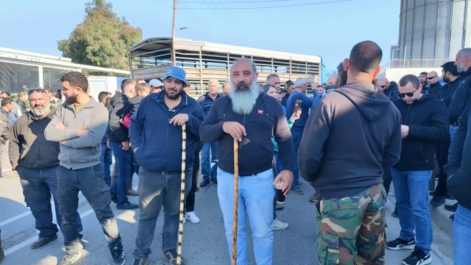 Rum hayvancılar ‘itlaflara’ karşı eylem yaptı!