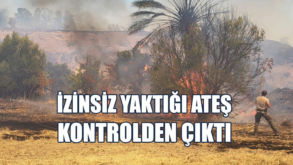 5 Hurma Ağacı Kısmen Yandı