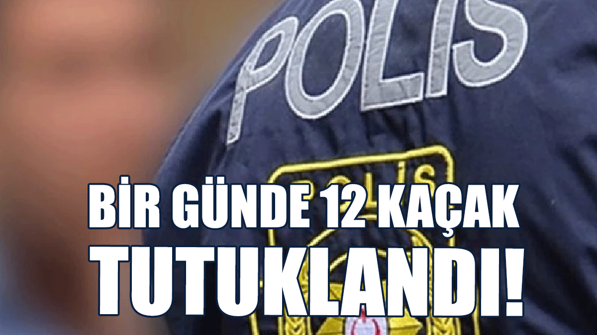 Bir günde 12 kaçak tutuklandı!
