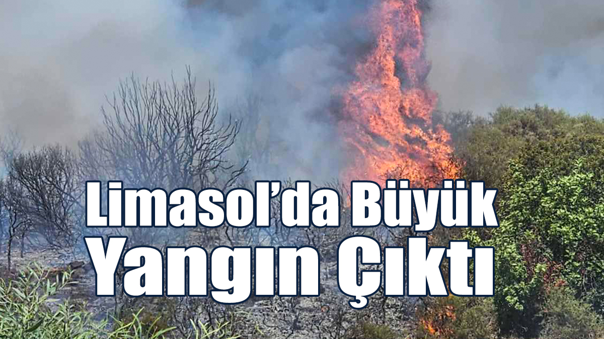 Limasol’da Büyük Yangın Çıktı