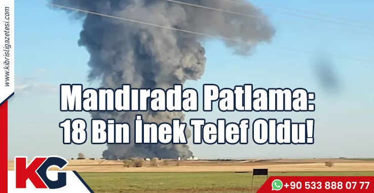 18 Bin İnek Telef Oldu!