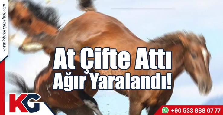 Atın Çifte Attığı Oraç, Ağır Yaralandı