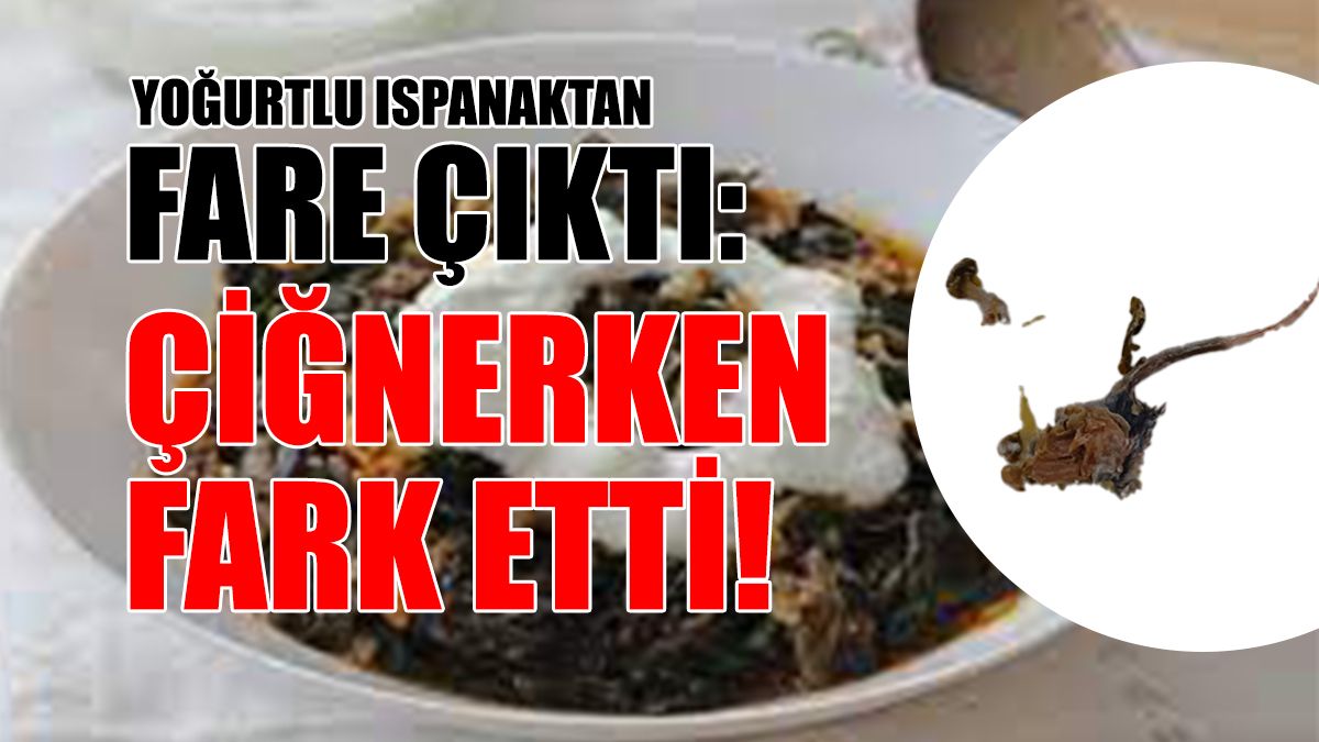 Yoğurtlu Ispanaktan Fare Çıktı: Çiğnerken Fark Etti