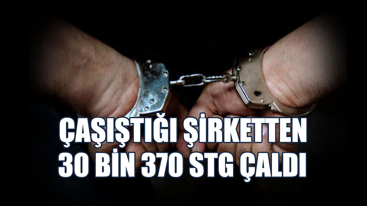 Ev Sattı, Parayı Cebe Attı