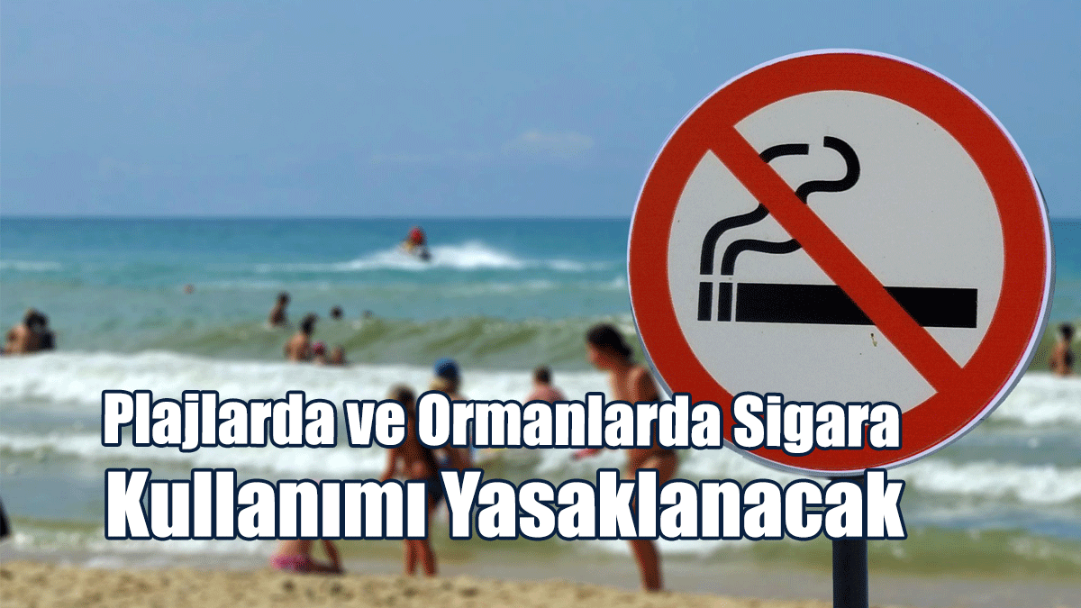 Plajlarda ve Ormanlarda Sigara Kullanımı Yasaklanacak